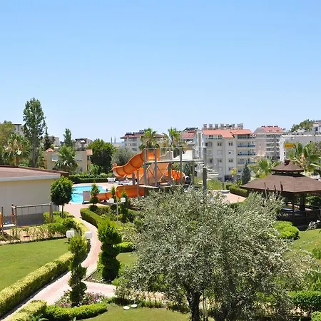 Orion Hill * Avsallar