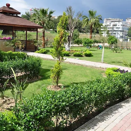 Orion Hill * Avsallar